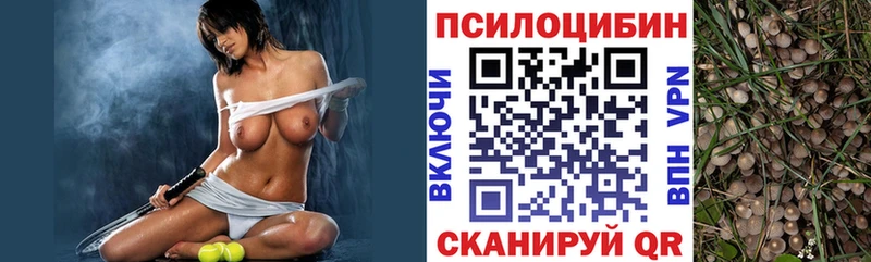 закладки  Нижняя Тура  Галлюциногенные грибы Psilocybine cubensis 